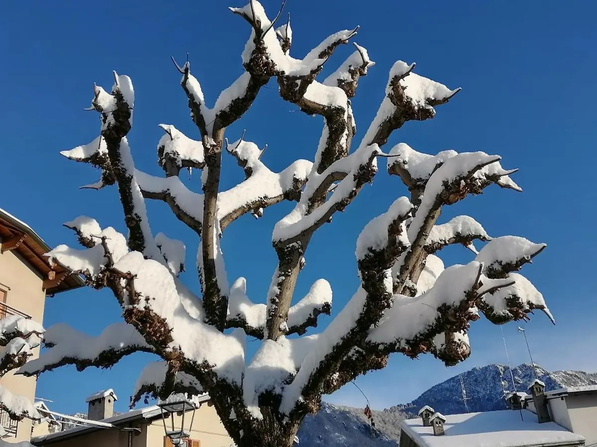 La Dimora Degli Angeli Apartment Moggio  Italy
